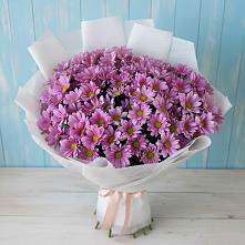 Букет цветов из:  Хризантемы в Старой Купавне